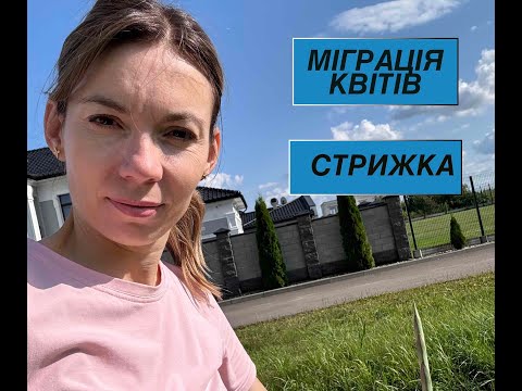 Видео: ГОРОДИНА - НОВА ПІЦЕРІЯ