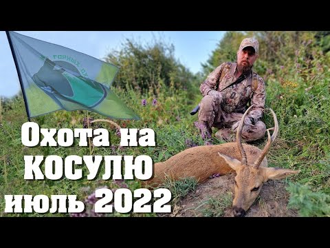 Видео: Горная Охота на Сибирскую Косулю в о/х Каракастек. Mountain hunting for roe deer.