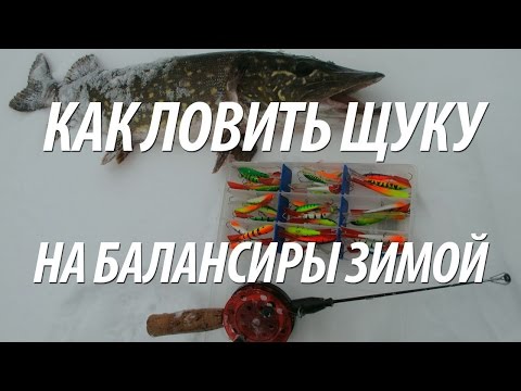 Видео: ЩУКА НА БАЛАНСИР ЗИМОЙ С НОРМУНДОМ ГРАБОВСКИСОМ