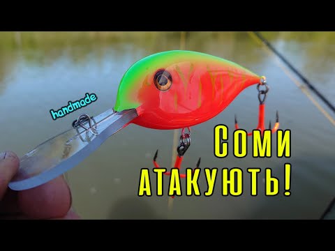 Видео: Соми атакують! Виклик «Риболовля на дивні приманки»!
