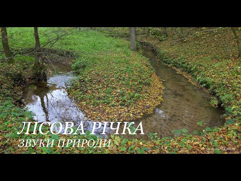Видео: ЛІСОВА РІЧКА. Звуки природи.