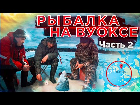 Видео: Жор плотвы // Только успевай таскать // Рыбалка на Вуоксе. Часть 2
