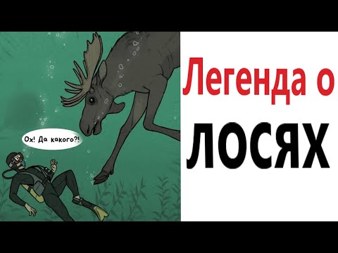 Видео: Приколы! Мемы! ЛЕГЕНДА О ЛОСЯХ! Смешные видео от Доми шоу!