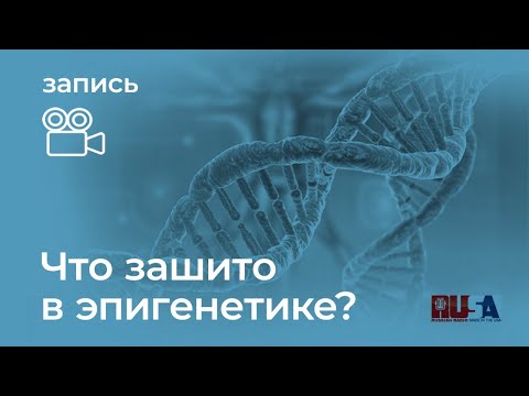 Видео: Александр Литвин: что зашито в эпигенетике?!
