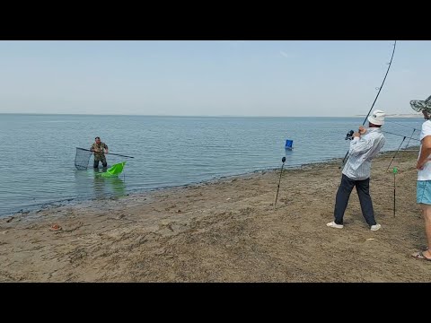 Видео: Шардара Старый Локатор, НОВЫЙ САЗАН АУЛАУ 🐟🐟🐟🐟🐟🐟