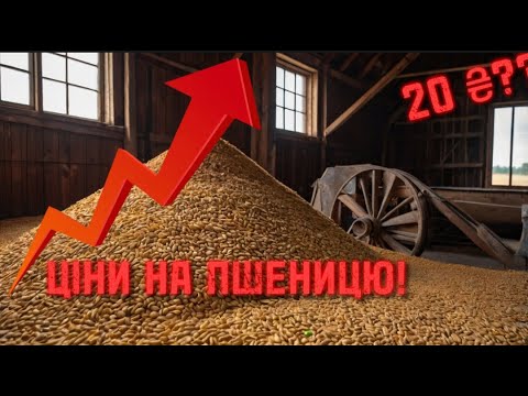 Видео: Купуємо зерно. Ціна пішла до гори...