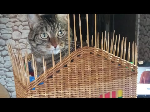 Видео: Оправдываю название канала -плету домА🏠🏡🏠🏡