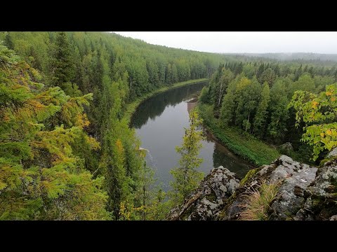 Видео: По рекам  Березовой и Колве, идем в верховья, мой рекордный хариус на SOLAR 470 JET,  2 часть