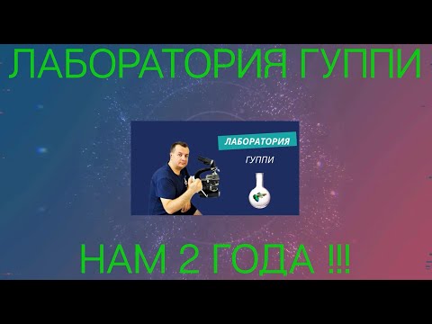 Видео: Лаборатория гуппи - нам 2 года!!
