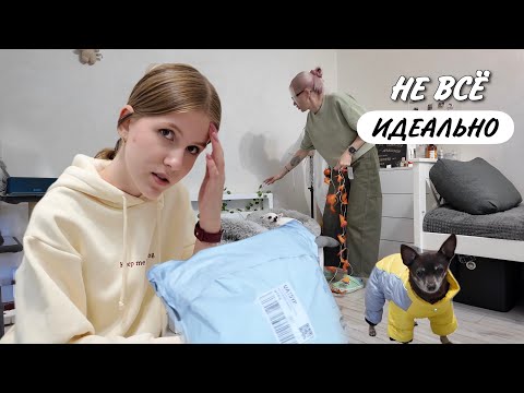 Видео: ВЛОГ. Распаковка с TEMU. Кира меня  ругает. Потерянная память и собачьи интересы. 