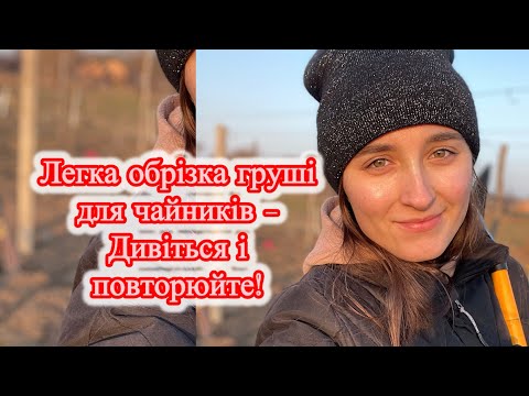 Видео: Не обрізайте грушу, поки не подивитеся це відео!