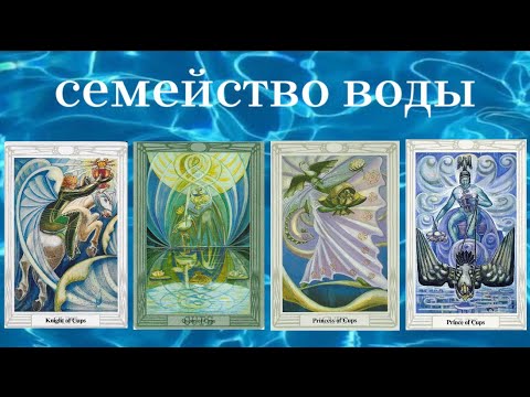 Видео: Придворные карты ТАРО масть Кубки