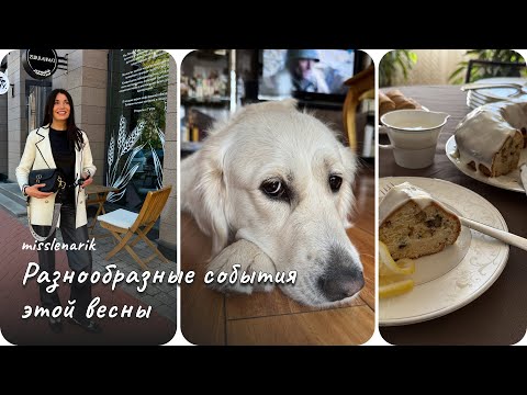 Видео: VLOG #16. Разнообразные события этой весны
