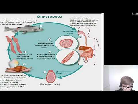 Видео: Гигиена 2.Гигиена водоснабжения.Требования к качеству питьевой воды.Методы улучшения качества воды