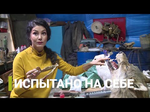 Видео: Таксидермия: «Испытано на себе»