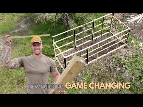 Видео: Aussie Homestead Reno - это новое строение меняет правила игры!