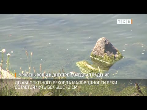 Видео: Уровень воды в Днестре замедлил падение