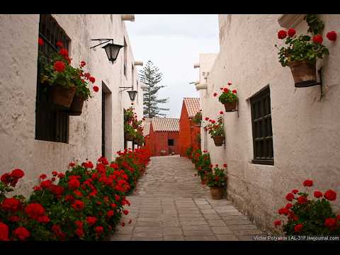 Видео: Прогулка по Арекипе: от ненависти до любви. Как менялось мое впечатление о городе. Плюсы и минусы.