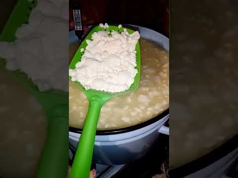 Видео: Готовлю сыр, фермерский домашний, кто как его называет!!!