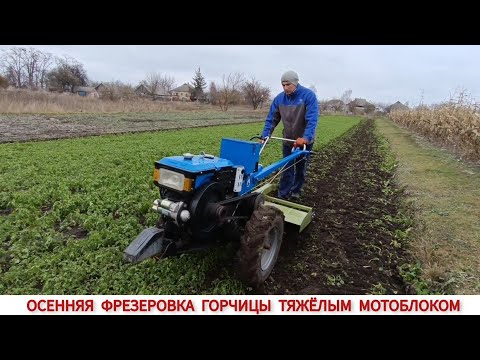 Видео: И МОРОЗ НЕ ПОМЕХА ...ПЛУГ НЕ СПРАВИЛСЯ... ФРЕЗЕРОВКА ГОРЧИЦЫ ТЯЖЁЛЫМ МОТОБЛОКОМ КЕНТАВР