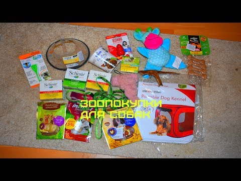 Видео: ПОКУПКИ ИЗ ЗООМАГАЗИНА ДЛЯ СОБАК