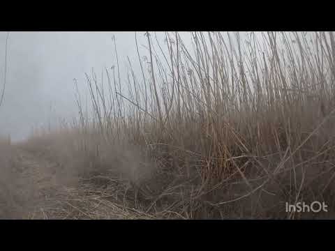 Видео: Охота с приключениями