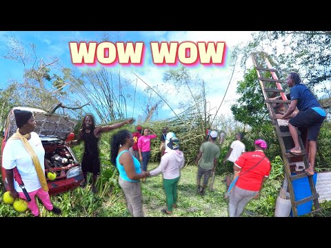 Видео: НА ДЕНЬ ИЗ-ЗА ШТОРМА. EP(1) КАТАСТРОФА МЕЛИССА НЕ ИГРАЕТ. ДЕРЖИСЬ СИЛЬНОЙ ЯМАЙКА 🇯🇲 ОМГ 😲