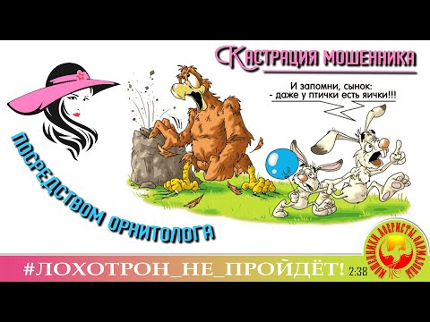 Видео: "Мошенники чирикают "ЗА" инвестиции". Мошенники, аферисты. (Автор - Лера)