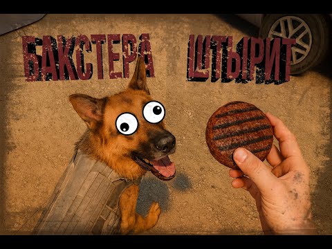Видео: Бакстера вштырило - Arizona Sunshine 2 (4)