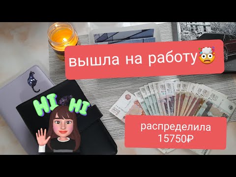 Видео: Первое распределение ноября. Сумма 15 750₽. вышла на работу