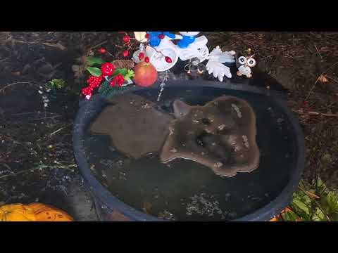 Видео: Чистка от "обратного хода колеса" наших знаний, мудрости от манипуляций ,игр людьми как марионетками