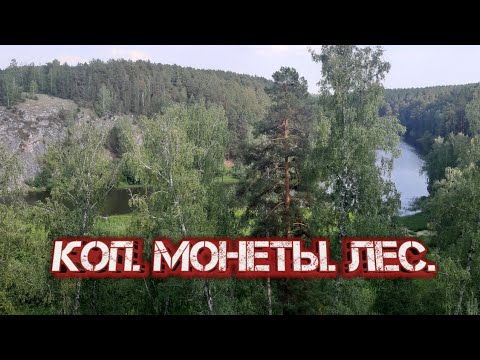 Видео: КОП МОНЕТ 2021 💣. С металлоискателем ТС-800