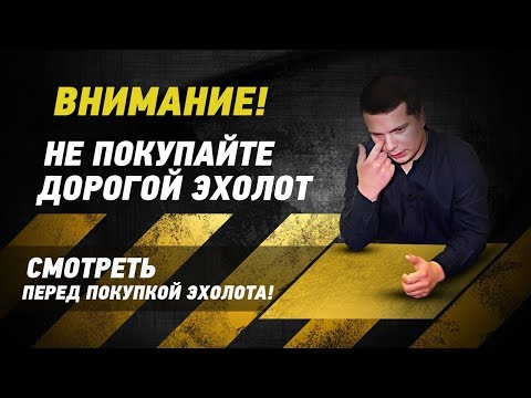 Видео: Не бери ДОРОГОЙ эхолот! Ищешь леща и сома, видео для тебя.