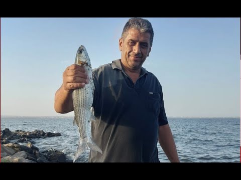 Видео: #fishing #Xəzər  dənizi Kefal ovu / Каспийское море .Открытие сезона рыбалки