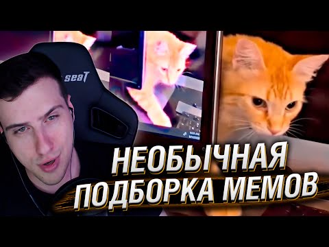 Видео: НЕОБЫЧНАЯ ПОДБОРКА МЕМОВ V251 | Реакция HellYeahPlay
