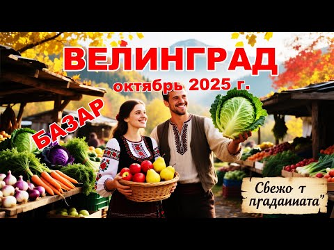 Видео: Велинград Болгария - Базар 26 октября 2025 г,