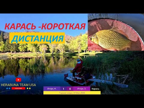 Видео: ХЕРАБУНА -  КАРАСЬ -КОРОТКАЯ ДИСТАНЦИЯへら