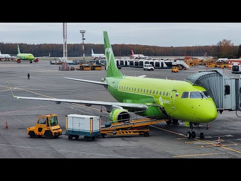 Видео: S7 Airlines | Васьково — Пулково | Пересадка в Домодедово