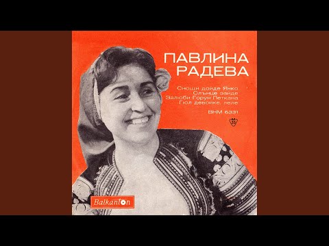 Видео: Гюл девойке, леле