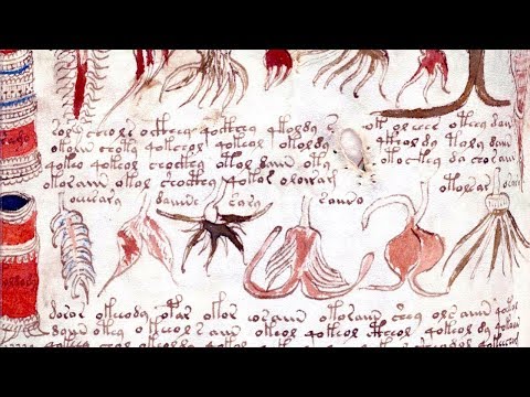 Видео: ЭТО ПРАВДА? Манускрипт Войнича