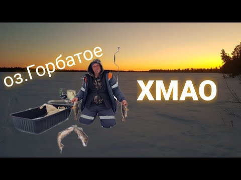 Видео: озеро горбатое. ХМАО. Белоярский район