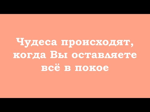 Видео: Чудеса происходят, когда Вы оставляете всё в покое