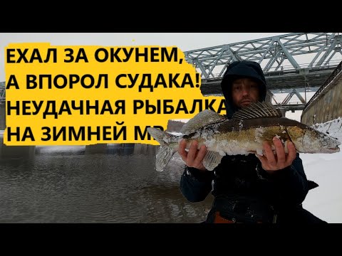 Видео: Ехал за окунем, а впорол Судака! Неудачная рыбалка на Москва-реке