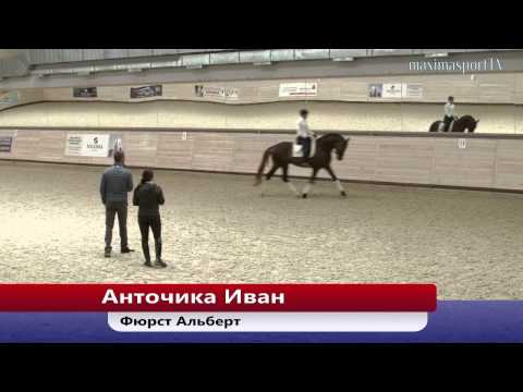 Видео: Мастер-класс «Тренинг молодых лошадей и судейство соревнований для молодых лошадей» 30.04.15 - 2