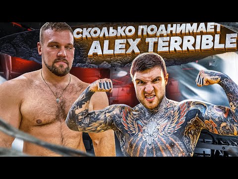 Видео: СКОЛЬКО ПОДНИМЕТ ALEX TERRIBLE?