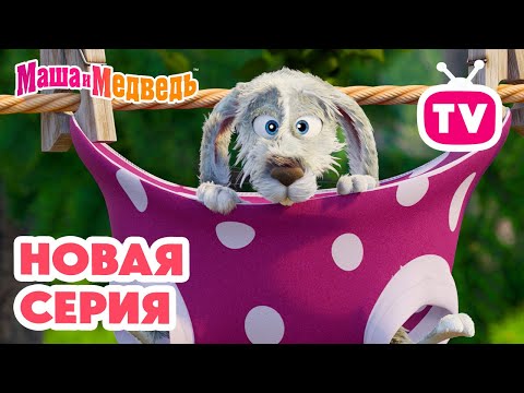 Видео: Маша и Медведь 💥 НОВАЯ СЕРИЯ! 💥 Скользкий тип 🧼🐰🥕 Коллекция мультиков про Машу