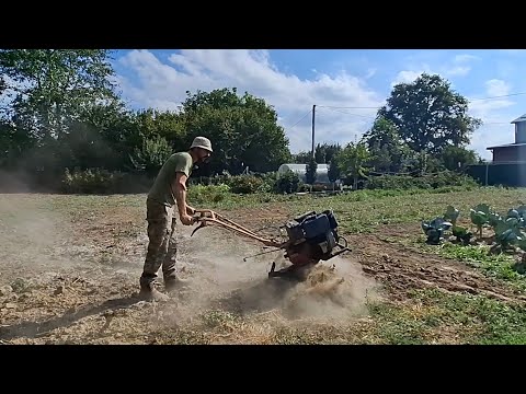 Видео: Заберіть його за 200грн🙏Ціна на поросят‼️Це дурна робота❓️Перепелята дизертири🙄Мотоблок зубр в ділі