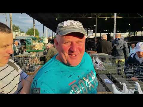 Видео: 9.08.2025г Ярмарка ст.Бронницы ч.2