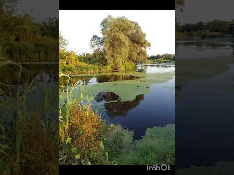 Видео: Прощальный вечер