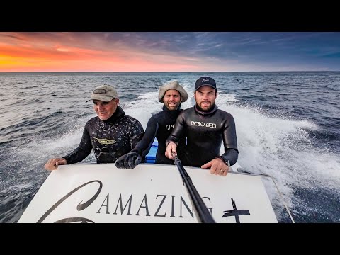 Видео: Последняя подводная охота с моим братом и лучшим другом в Брисбене. Поймали и приготовили рыбу.